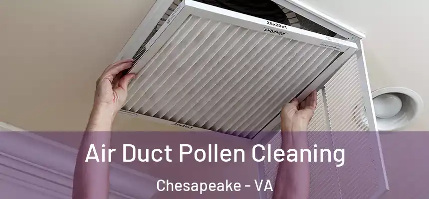  Air Duct Pollen Cleaning Chesapeake - VA