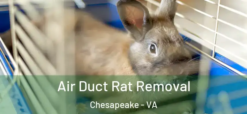  Air Duct Rat Removal Chesapeake - VA