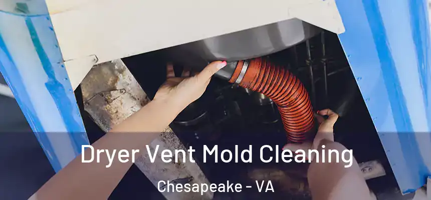  Dryer Vent Mold Cleaning Chesapeake - VA