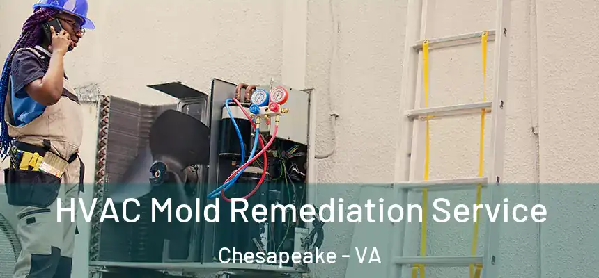  HVAC Mold Remediation Service Chesapeake - VA