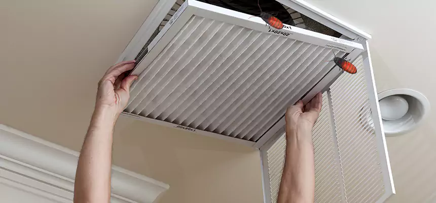 Preventive Cockroach-Proofing for Ducts in Chesapeake