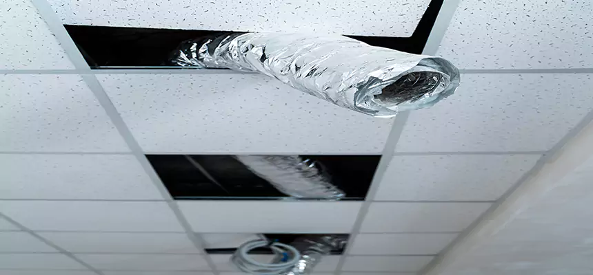 Affordable HVAC Sanitizing After Pest Removal in Chesapeake