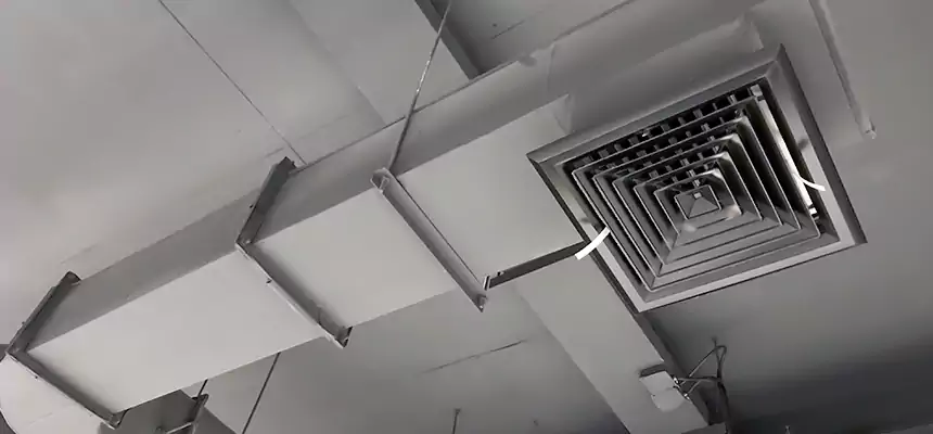 Our Pest Removal From Ducts Services in Chesapeake, VA