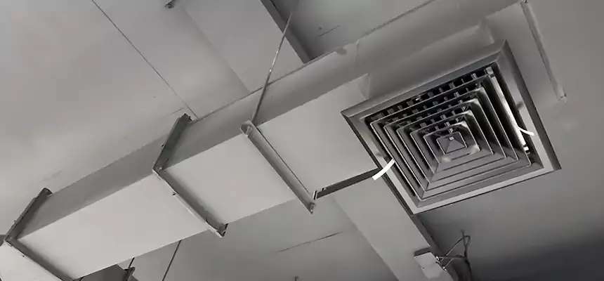 Our Rodent Droppings In Vents Services in Chesapeake, VA