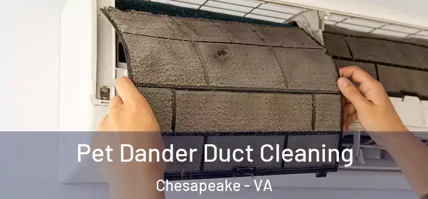  Pet Dander Duct Cleaning Chesapeake - VA