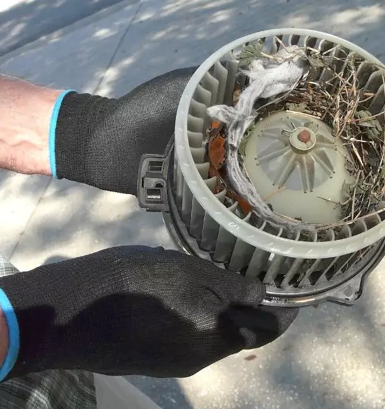 About Air Duct Rat Removal in Chesapeake, VA