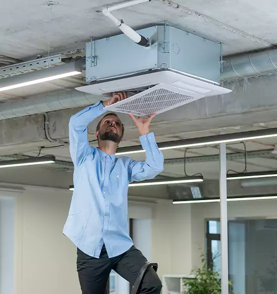 Advanced Rodent Droppings In Vents in Chesapeake, VA