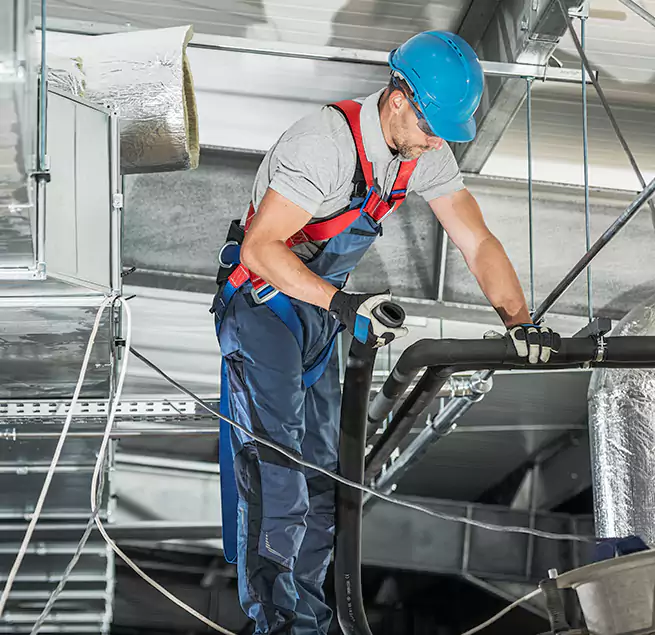 Why Homeowners & Businesses Trust Us in Chesapeake, VA?