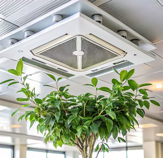 Why Homeowners & Businesses Trust Us in Chesapeake, VA?