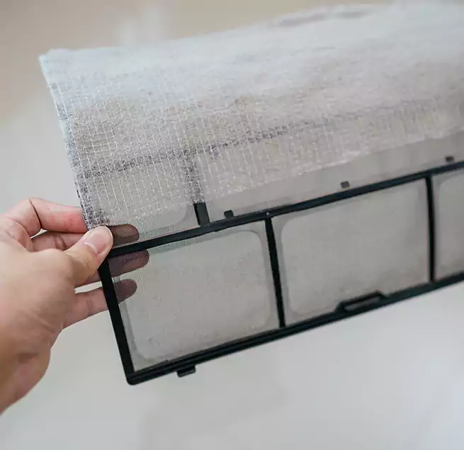 Why Homeowners & Businesses Trust Us in Chesapeake, VA?