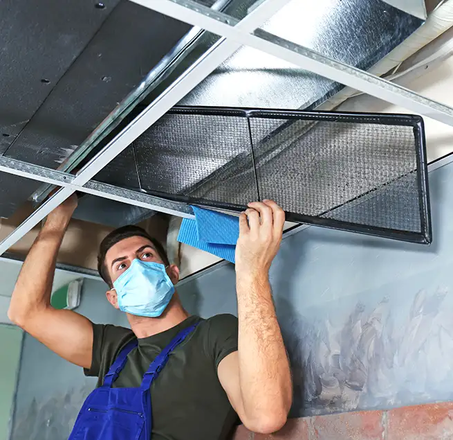 Why Homeowners & Businesses Trust Us in Chesapeake, VA?